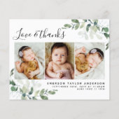 Budget Eucalyptus Foto Baby Danke Postcard (Vorderseite)