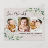 Budget Eucalyptus Foto Baby Danke Postcard (Vorderseite)