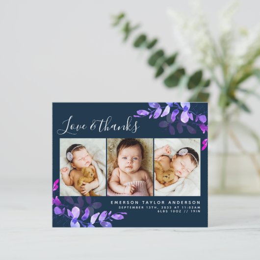 Budget Eucalyptus Foto Baby Danke Postcard (Stehend Vorderseite)