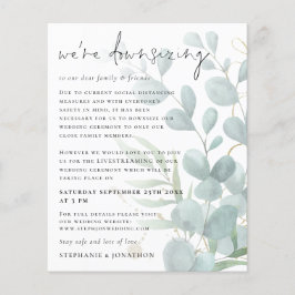 Budget Eukalyptus Downsizing Livestream Wedding