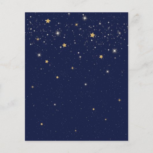 Budget First Birthday Twinkle Twinkle Little Star Flyer (Hinten)