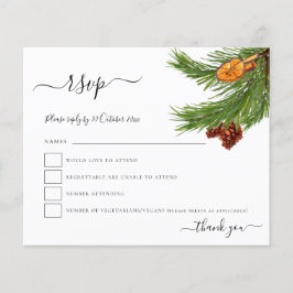 Budget Foliage Cones Orange Christmas RSVP