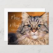 Budget Foto Cat Merry and Bright Holiday Card (Vorne/Hinten)