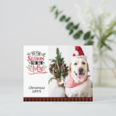 Budget Foto Das ist die Jahreszeit zu Weihnachten. (Stehend Vorderseite)