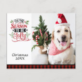 Budget Foto Das ist die Jahreszeit zu Weihnachten. (Vorderseite)