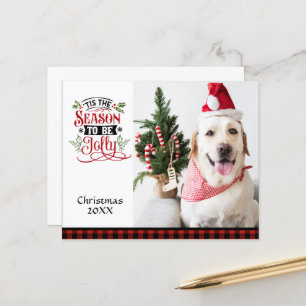 Budget Foto Das ist die Jahreszeit zu Weihnachten.