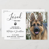 Budget Foto Hunde Hochzeit Pet speichern Datum (Vorne/Hinten)