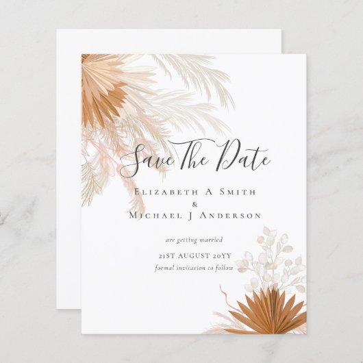 BUDGET Foto Rett Dates PAMPAS Grass Terracotta (Vorne/Hinten)