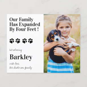 Budget Foto Welpen Hund Neuankündigung