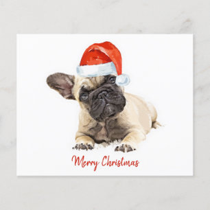Budget Französischer Bulldog Welpe Weihnachten Nie