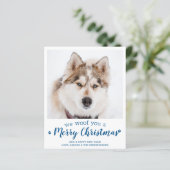 Budget Frohe Weihnachten Custom Dog Pet Foto Card (Stehend Vorderseite)