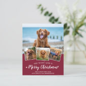Budget Frohe Weihnachten Custom Pet Foto Urlaub (Stehend Vorderseite)