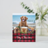 Budget Frohe Weihnachten Haustier Foto Roter Karie (Stehend Vorderseite)