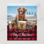 Budget Frohe Weihnachten Haustier Foto Roter Karie (Vorderseite)