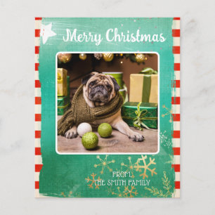 Budget Frohe Weihnachts-Haustier-Foto