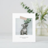 Budget Fun Striped Tape Weihnachtsfest Foto (Stehend Vorderseite)