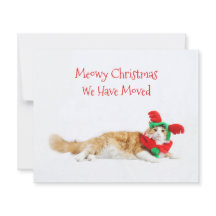 Budget Funny Cat Weihnachten Moving New Address