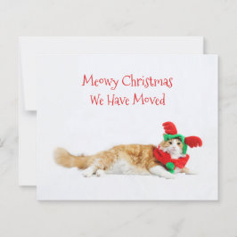 Budget Funny Cat Weihnachten Moving New Address