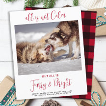 Budget Funny Pet Fury & Bright Foto Weihnachten
