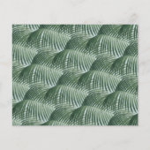 Budget Gold handgeschriebene Script Tropics Baby D (Rückseite)