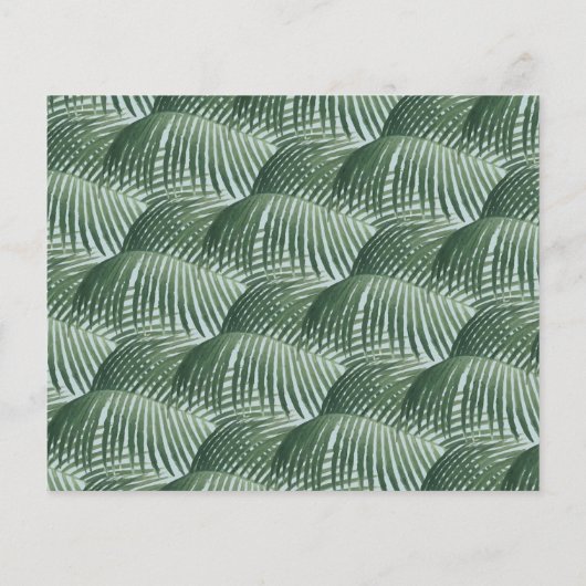 Budget Gold handgeschriebene Script Tropics Baby D (Rückseite)