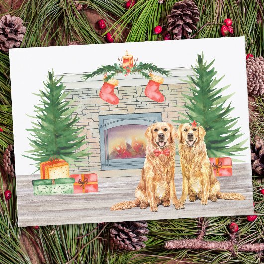 Budget Golden Retriever Weihnachtsurlaub Hundekart