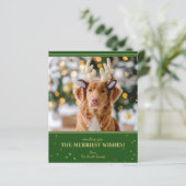 Budget Green Gold Foto (Stehend Vorderseite)