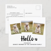 Budget Hallo Foto Welpen Hund Neuankündigung Haust (Vorne/Hinten)