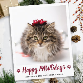 Budget Happy PAWlidays Cat Pet Foto Weihnachten