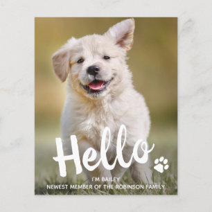 Budget Hello New Pet Foto Welpe Dog Ankündigung