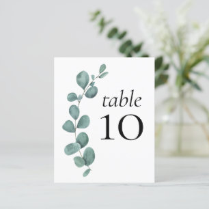 BUDGET Hochzeitsempfang Eukalyptus-Tabellennummer