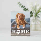 Budget Home Dog Moving Announcement Postcard (Stehend Vorderseite)