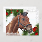 Budget HorChristmas Equine Niedlich Pony Holiday (Vorne/Hinten)