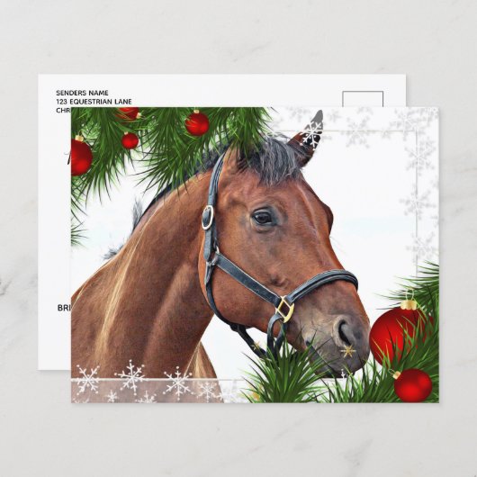 Budget HorChristmas Equine Niedlich Pony Holiday (Vorne/Hinten)