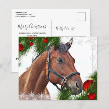 Budget HorChristmas Equine Niedlich Pony Holiday