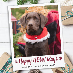Budget Hund Lover Pet Foto Weihnachtskarte