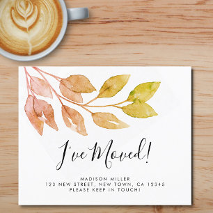 Budget Ich habe den Fall verschoben Ankündigung