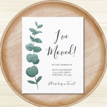 Budget Ich habe die Änderung der Adresse Eukalyptu