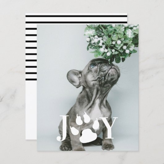 BUDGET Jog Dog Paw Drucken Weihnachtsfotokarte (Vorne/Hinten)