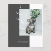 BUDGET Joyful Modern Holiday Foto Card (Vorderseite)