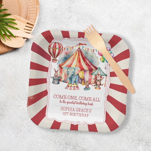 Budget Karneval Circus Show & Animations Geburtsta Pappteller