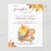 Budget Kleiner Kürbisdinosaurier fallen Babydusche (Vorderseite)