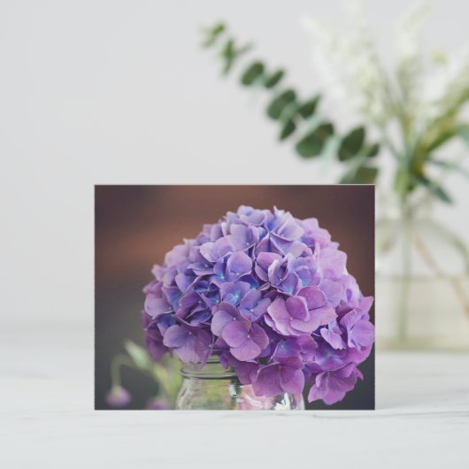Budget Lavender Lila Hydrangea (Stehend Vorderseite)