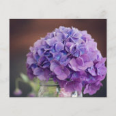 Budget Lavender Lila Hydrangea (Vorderseite)