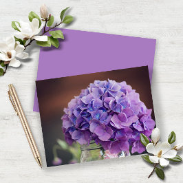 Budget Lavender Lila Hydrangea