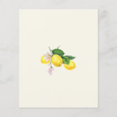 Budget Lemon Citrus Sommer Dusche Einladung (Rückseite)