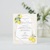 Budget Lemon Citrus Sommer Probe Abendessen (Stehend Vorderseite)