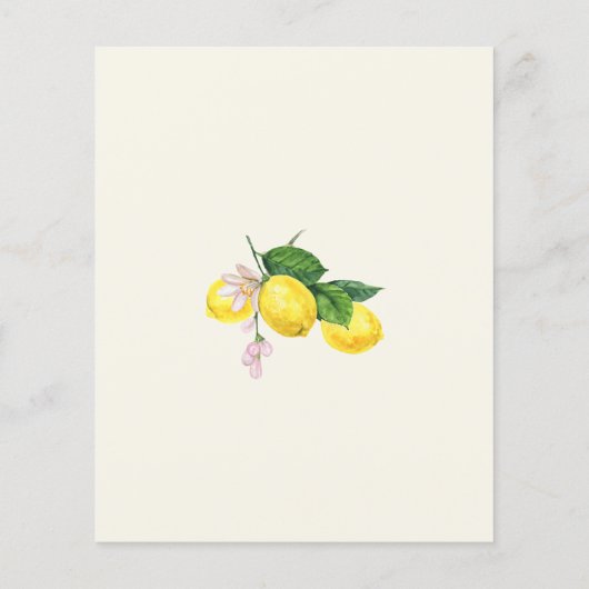 Budget Lemon Citrus Sommer Probe Abendessen (Rückseite)