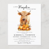 Budget Little Pumpkin Highland Kuh Baby Dusche (Vorderseite)