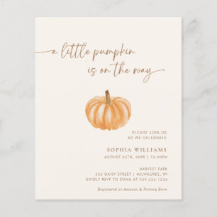 BUDGET Minimalistisch Kleine Pumpkin Baby Dusche
